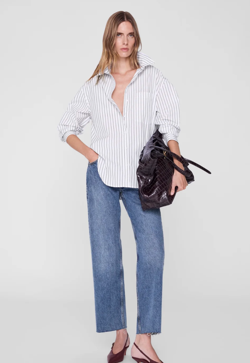 Anine Bing Scott Shirt, White And Black Stripe