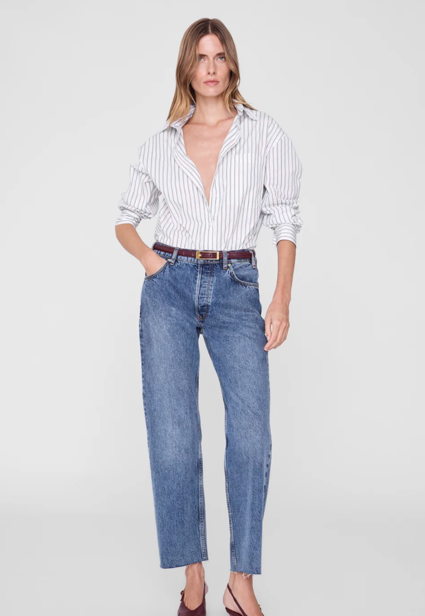 Anine Bing Scott Shirt, White And Black Stripe